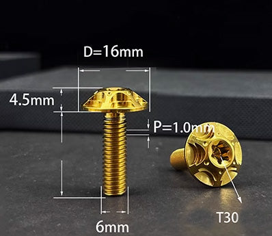 Titanium Bolt M5 / M6 / M8 Torx Head for Bicycle Motor Bikes